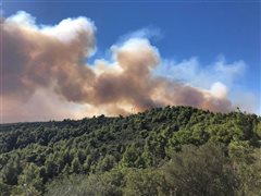 Υπό μερικό έλεγχο η φωτιά στη Χαλκιδική