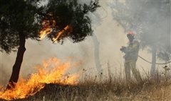 Υπό έλεγχο η φωτιά στην Κασσάνδρα Χαλκιδικής