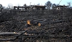 Νέα δίωξη ζητείται για την τραγωδία στο Μάτι