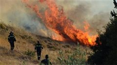 Σε εξέλιξη πυρκαγιά στο Λάκκωμα της Χαλκιδικής