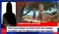 Βασάνισαν απάνθρωπα και σκότωσαν σκυλάκια