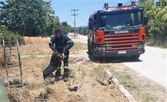 Καλαμαριά: Πυροσβέστες έσωσαν σκύλο που έπεσε σε φρεάτιο (βιντεο)