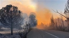 Χαλκιδική: Καθαρισμοί στην περιοχή που επλήγη από τις πυρκαγιές