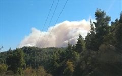 Χαλκιδική - Δέκα χρόνια τώρα προσπαθούν να πουλήσουν την έκταση που κάηκε