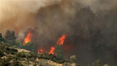 Κάηκαν 7.000 στρέμματα στη Χαλκιδική