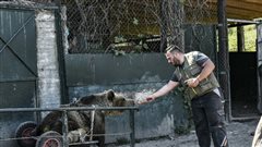 Ο Ούσκο, το ανάπηρο αρκουδάκι, κατέληξε από νεφρική ανεπάρκεια