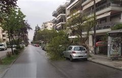 Καλαμαριά: Δέντρο έπεσε πάνω σε αυτοκίνητο