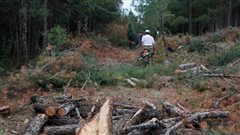 Θεσσαλονίκη: Προβλήματα στην επιχείρηση διάσωσης του Σέιχ Σου