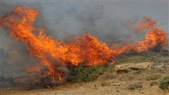 Φωτιά σε έκταση με ξερά χόρτα στο χωριό Λουδίας