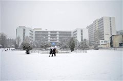 ΑΠΘ: Από τις 11 το πρωί τα μαθήματα