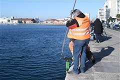 Έβγαλαν 50 πατίνια από τον Θερμαϊκό - Δύτες θα βγάλουν τα υπόλοιπα! (φώτο)