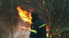 Πολύ υψηλός κίνδυνος πυρκαγιάς σήμερα - Ο χάρτης με τις περιοχές