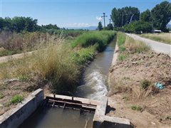 ΣΟΚ Νεκρό βρέφος σε αρδευτικό κανάλι -  Χειροπέδες σε τρία άτομα