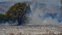 Κανένας κίνδυνος για την υγεία των κατοίκων από τη φωτιά στη Σίνδο