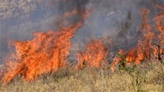 Φωτιά στην ανατολική Θεσσαλονίκη