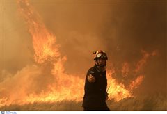 48 δασικές πυρκαγιές το τελευταίο 24ωρο σε όλη την Ελλάδα