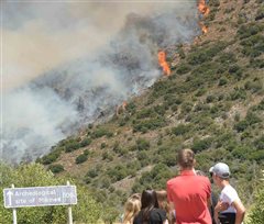 Καταστροφική η φωτιά στις Μυκήνες - Πέρασε μέσα από τον αρχαιολογικό χώρο