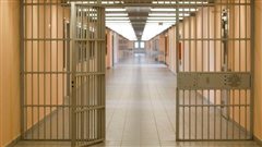 Στη φυλακή 50χρονος που είχε γίνει «φόβος και τρόμος» γειτονιάς στο Πανόραμα